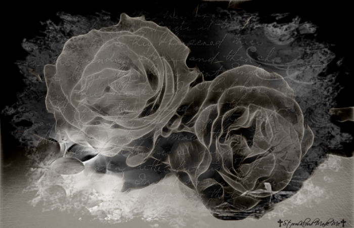 Gothic-background with two white roses